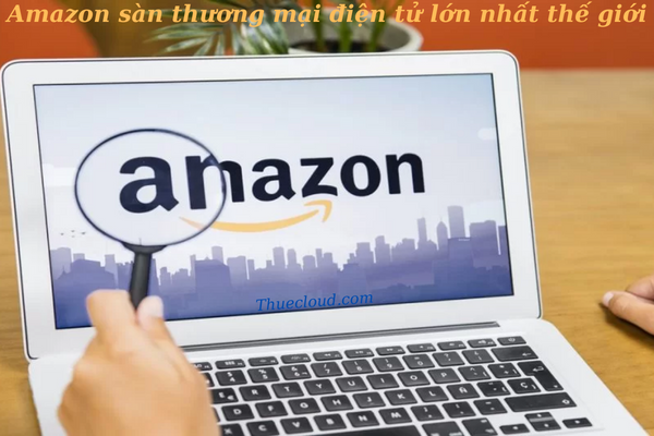 Amazon là gì?