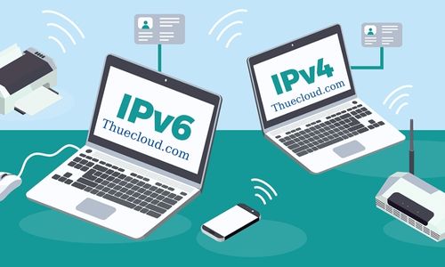 Các loại hình thông dụng của IP
