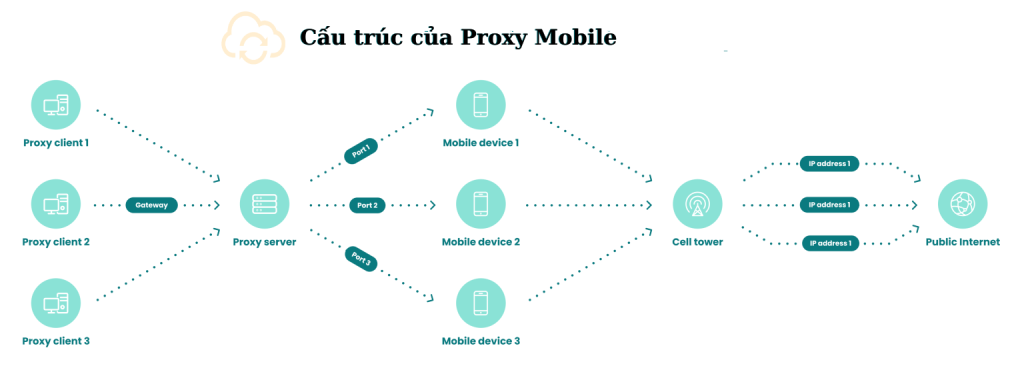 Cấu trúc của Proxy Mobile