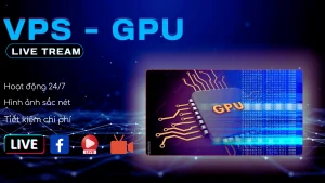 Mua VPS GPU live stream Ảnh đại diện