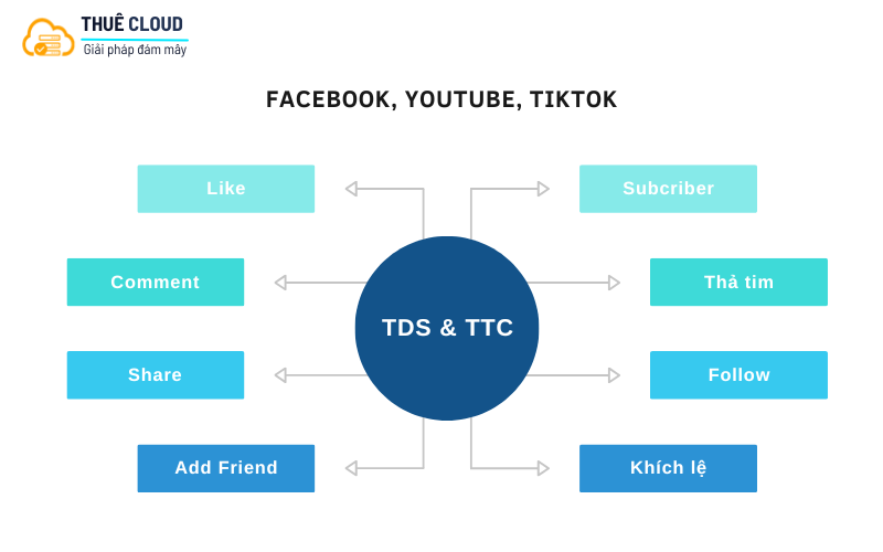 Các tính năng của tool TDS, TTC