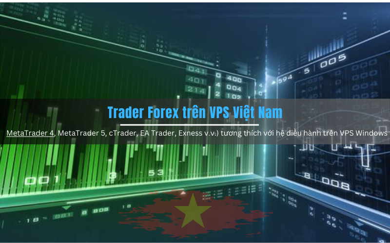 Trader Forex trên VPS Việt Nam