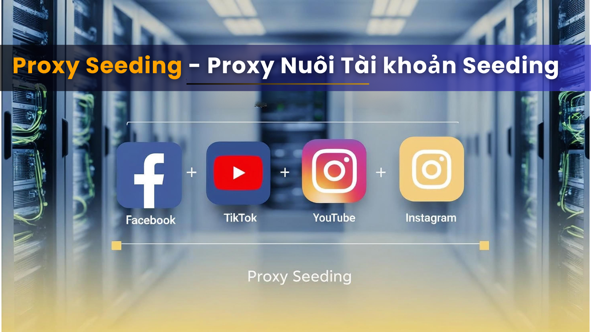 Proxy Seeding là gì Ảnh đại diện