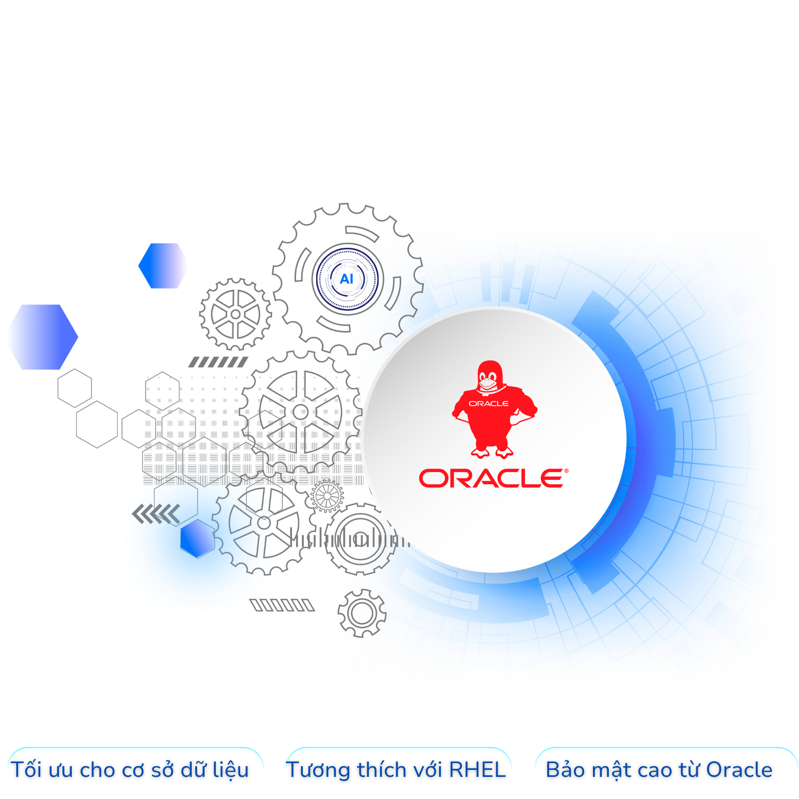 Oracle Server