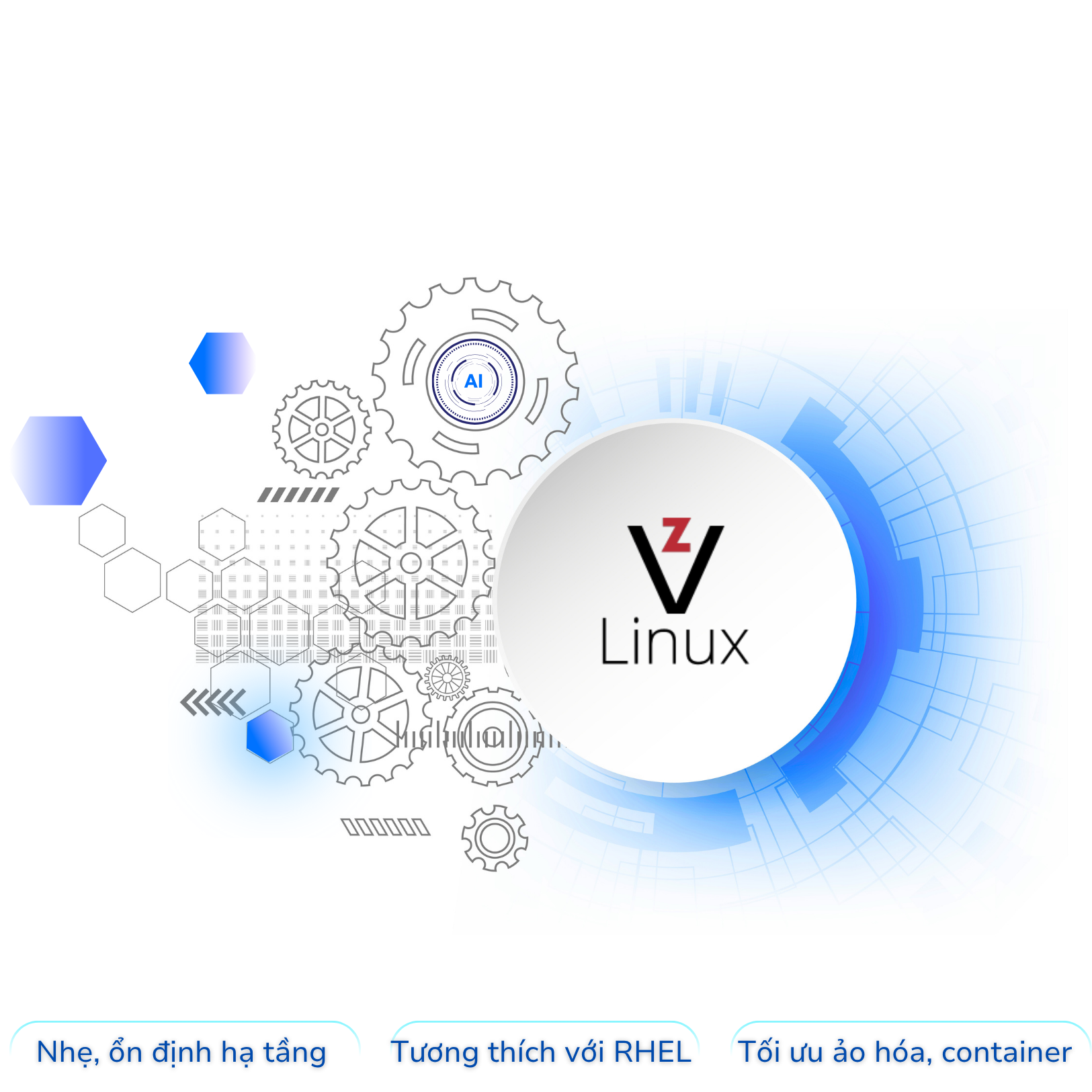 Vzlinux Server