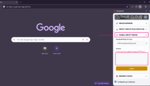 MANUAL IMPORT PROXIES