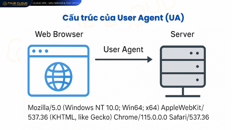 Cấu-trúc-của-UA